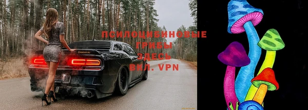 ГАЛЛЮЦИНОГЕННЫЕ ГРИБЫ Алексин